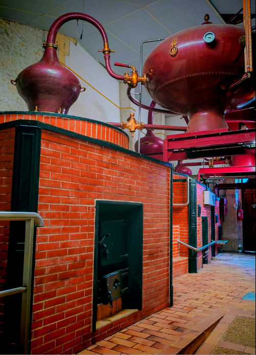 Distillerie Cognac producteur